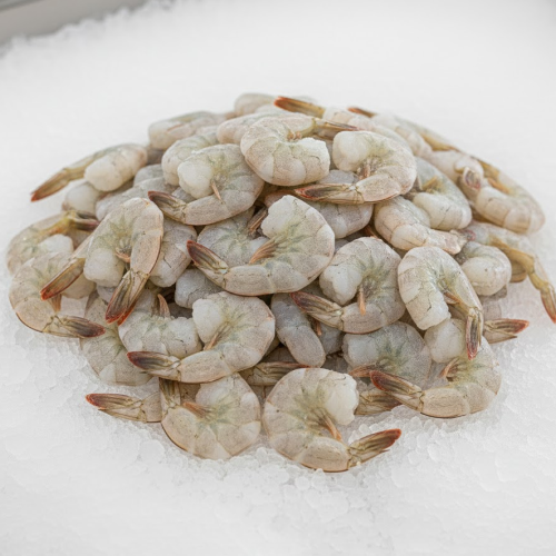 20/30 shrimp hoso ecuador freebay 4 lbs