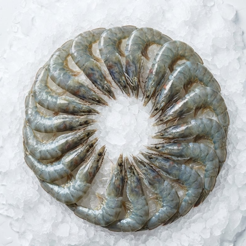 36/40 hlso farm shrimp ecuador 24lbs x case