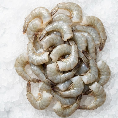 champmar ecuadorian white shrimp 26/30 (camarón) – headless shell on (hlso) | 4lb block
