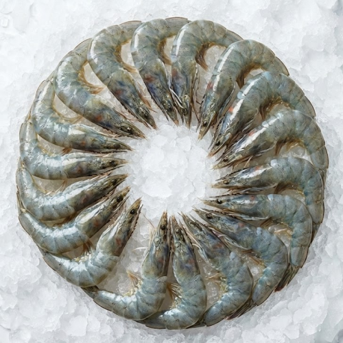 36/40 selecta hlso farm mex 5lb bag