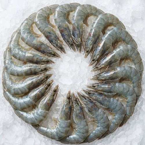 champmar ecuadorian white shrimp 50/60 (salad size) – peeled & deveined (p&d) tail off | 4lb block