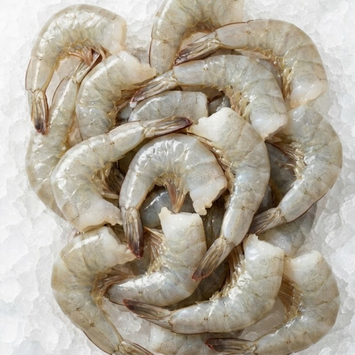 champmar ecuadorian white shrimp 16/20 (extra large) – headless shell on (hlso) | 4lb pack