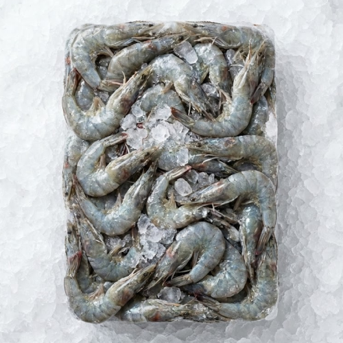 61/70 hlso farm shrimp nicaragua 4lbs block retail x pound