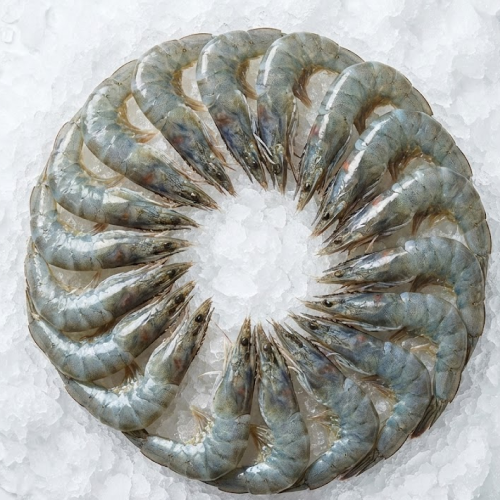 mexican white shrimp 26/30 (camarón) – headless shell on (hlso) | 4lb bag