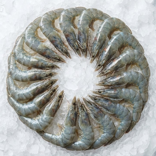 snapper 1 2 fresh mexico wild