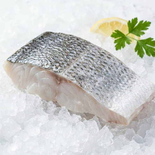 barra/mudi skin 16/24 fillet