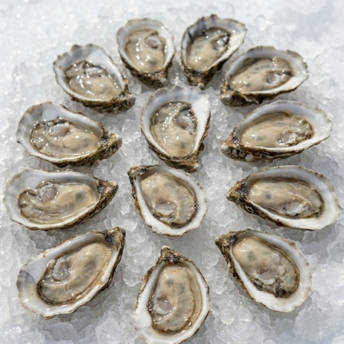 oysters from virginia /dozen