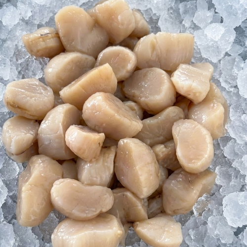 scallop mex callo perla 2lbs bag