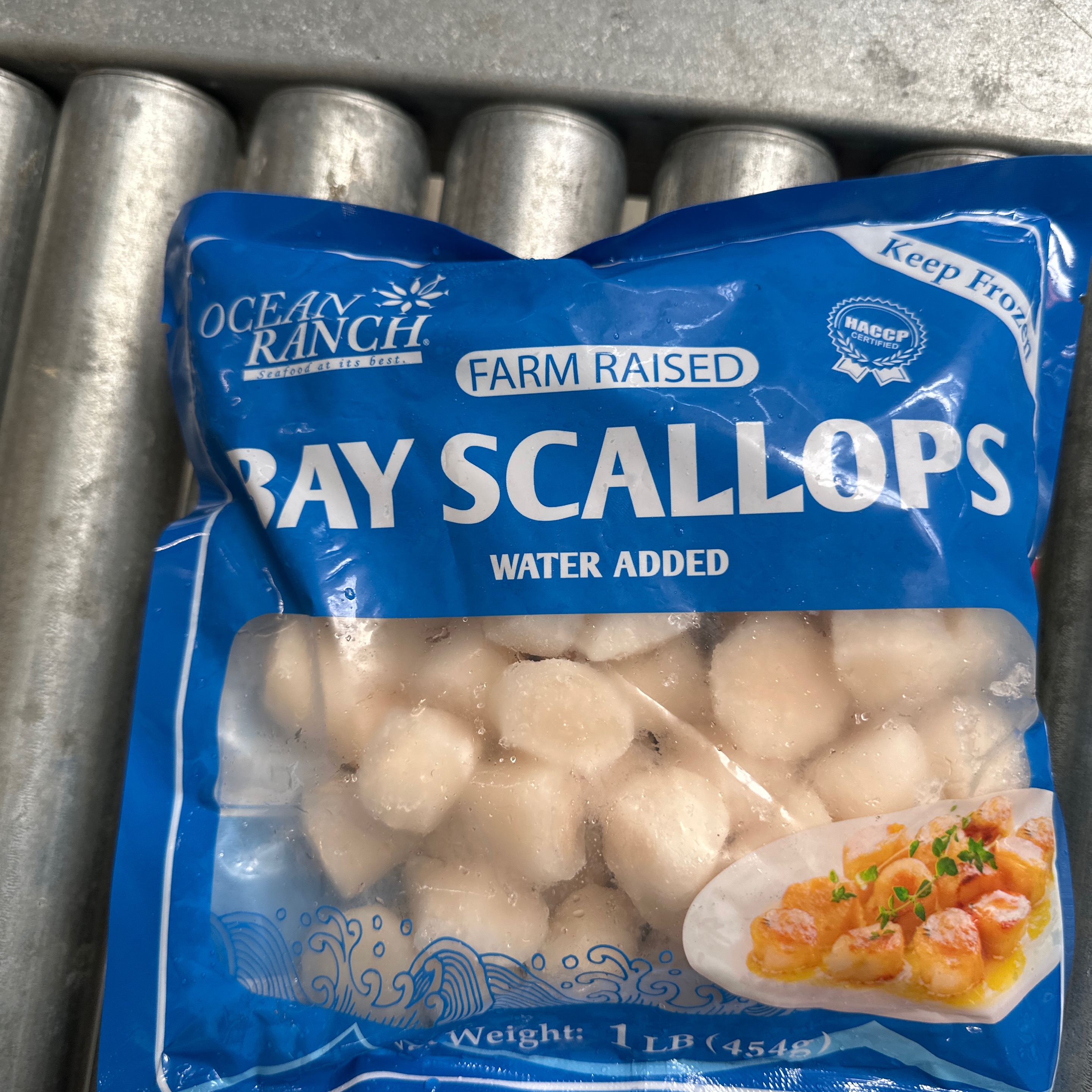 bay scallops