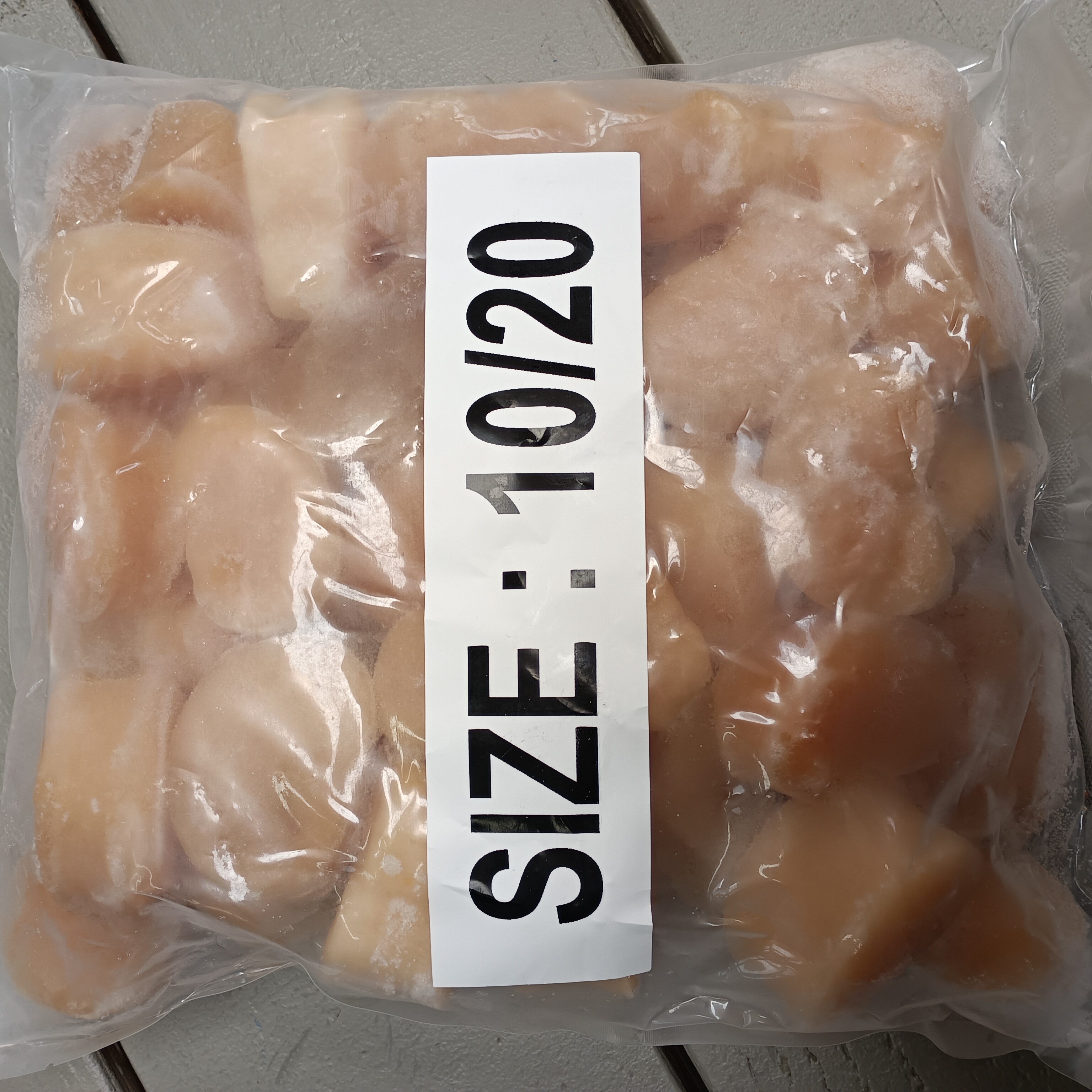 10/20 callo de hacha peruano