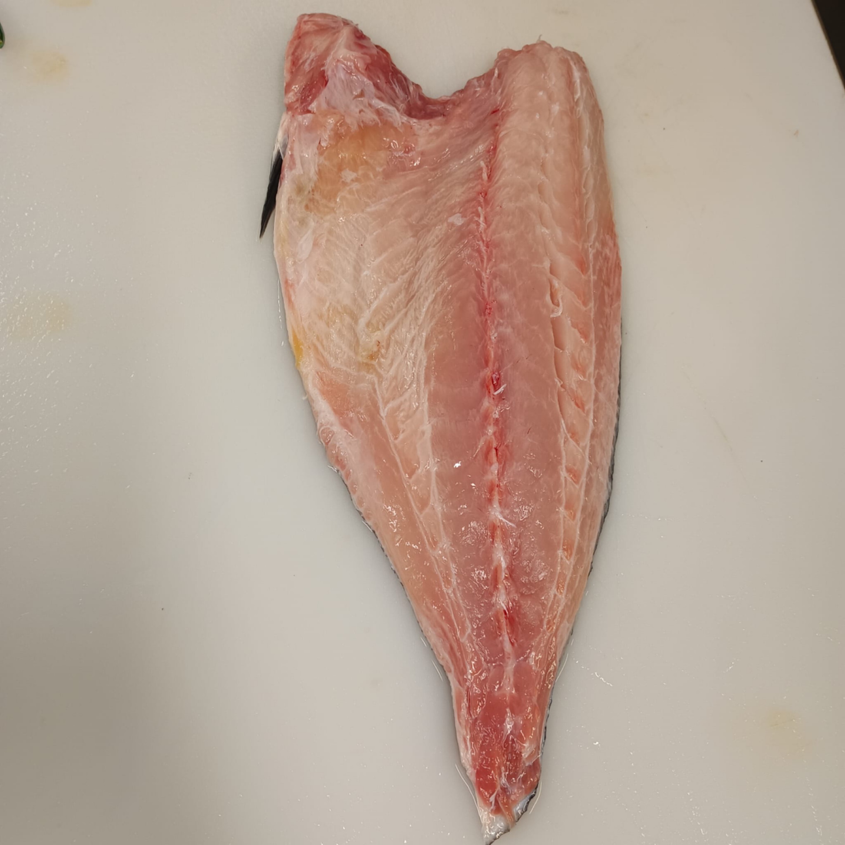 kampachi filet fresh